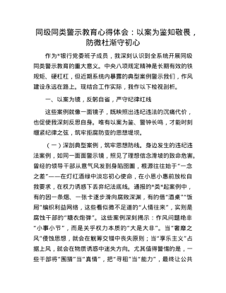 同级同类警示教育心得体会：以案为鉴知敬畏，防微杜渐守初心.docx