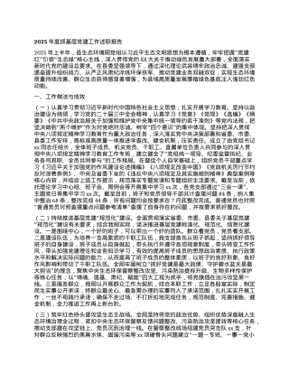 2025年度抓基层X建工作述职报告.docx
