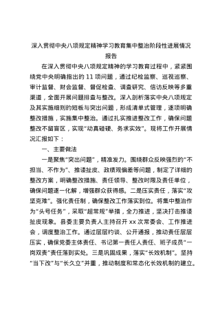 BXGD精神学习教育集中整治阶段性进展情况总结报告3000字(1).docx