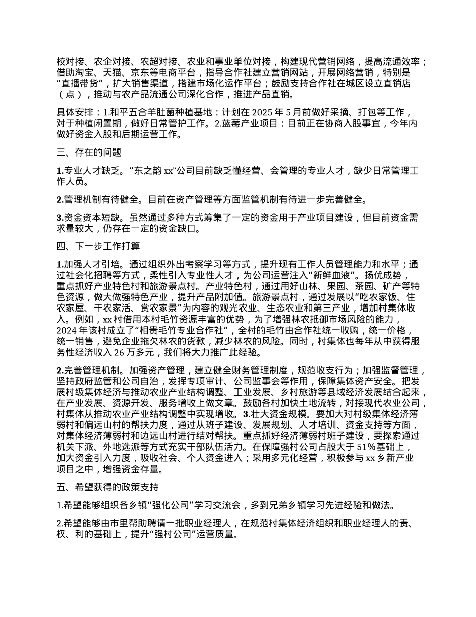 xx乡集体经济“强村公司”发展情况报告.docx_第2页