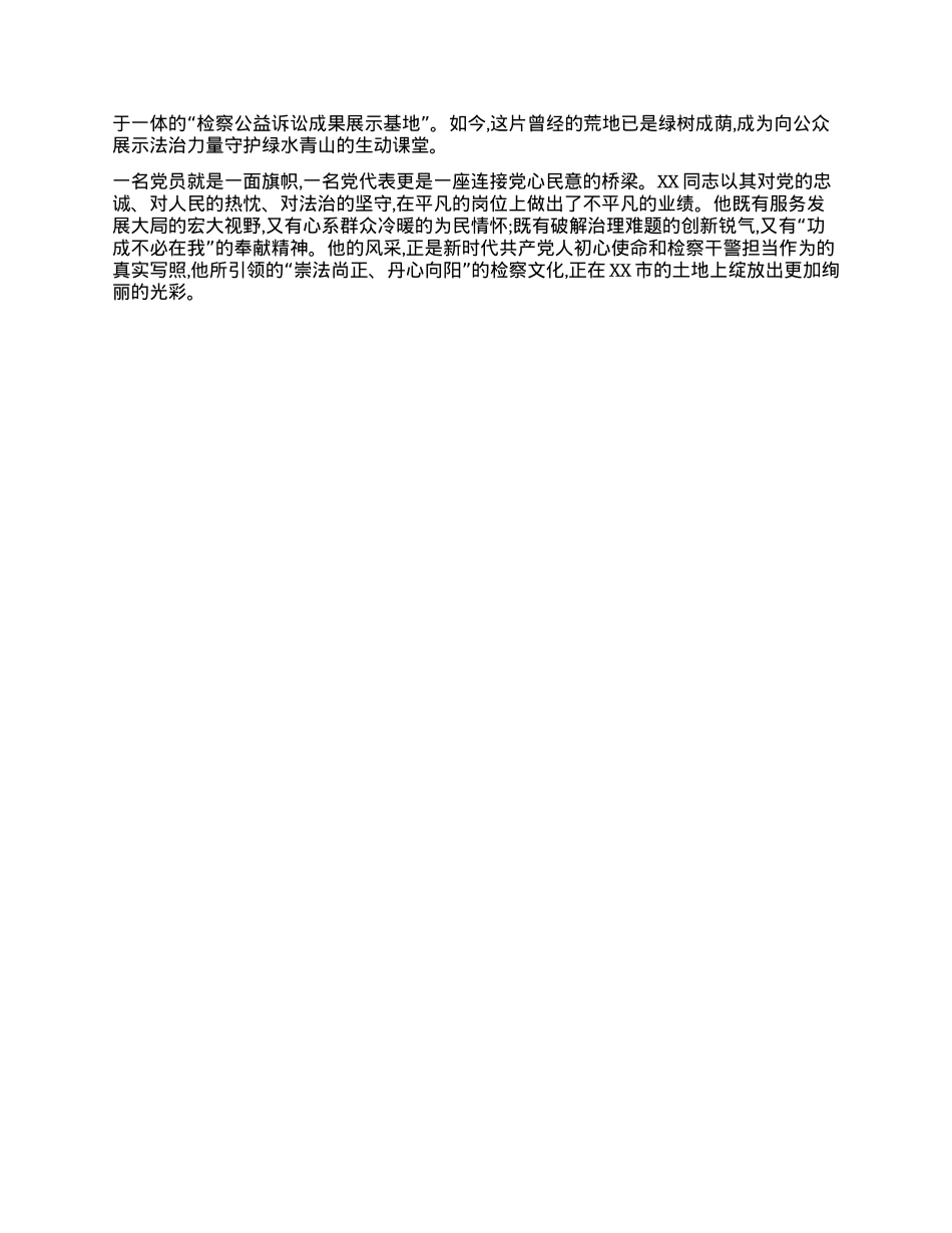 【团队精品】XX市人民检察院X代表XX同志履职风采实录.docx_第3页