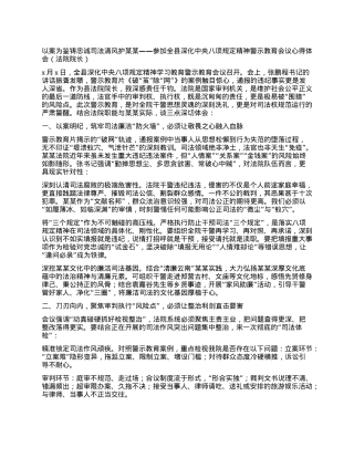 以案为鉴铸忠诚司法清风护某某 ——参加全县深化中央BXGD精神警示教育会议心得体会(法院院长）.docx
