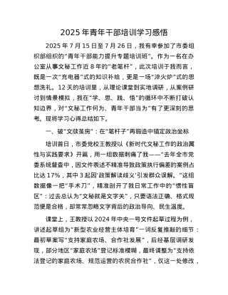 2025年青年干部培训学习感悟.docx