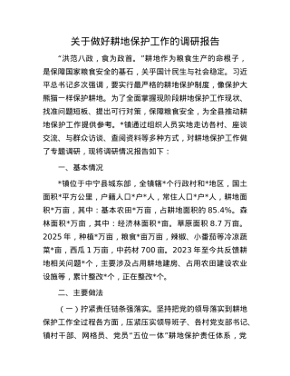 关于做好耕地保护工作的调研报告.docx