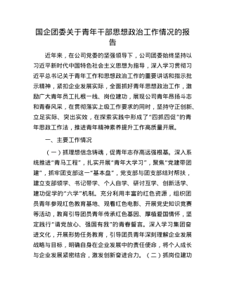 国企团委关于青年干部思想ZZ工作情况的报告.docx