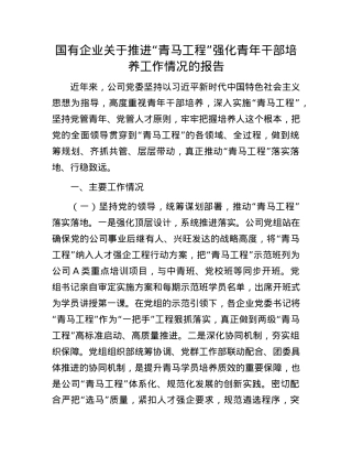 国有企业关于推进“青马工程”强化青年干部培养工作情况的报告.docx