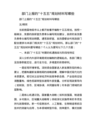 部门上报的“十五五”规划材料写哪些.docx