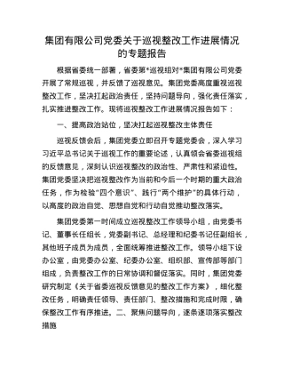 集团有限公司X委关于巡视整改工作进展情况的专题报告.docx