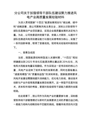 分公司关于加强领导干部队伍建设聚力推进风电产业高质量发展经验材料.docx