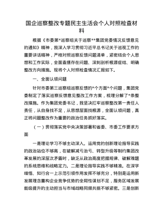 国企巡察整改专题民主生活会个人对照检查材料.docx