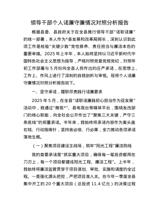 领导干部个人诺廉守廉情况对照分析报告.docx