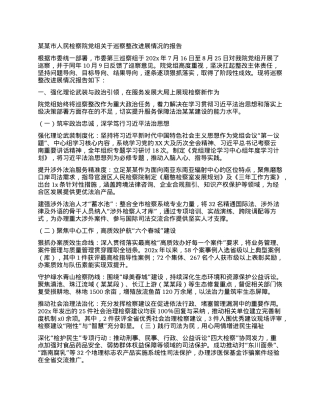 某某市人民检察院X组关于巡察整改进展情况的报告.docx