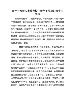 青年干部参加市委X校中青年干部培训班学习感悟.docx