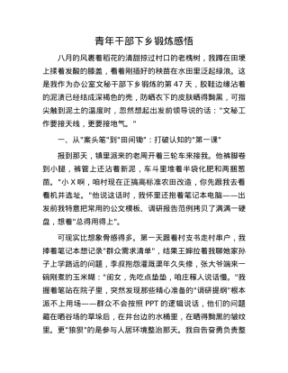 青年干部下乡锻炼感悟.docx