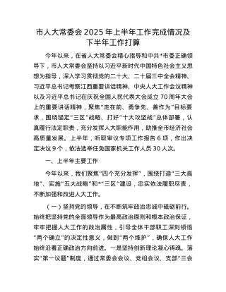 市人大常委会2025年上半年工作完成情况及下半年工作打算.docx