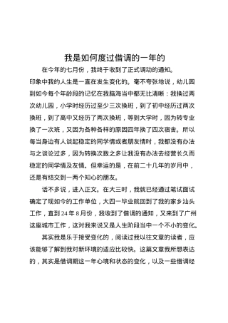 我是如何度过借调的一年的.docx
