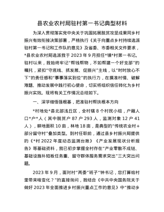 县农业农村局驻村第一书记典型材料.docx