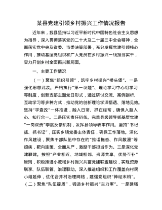 某县X建引领乡村振兴工作情况报告.docx