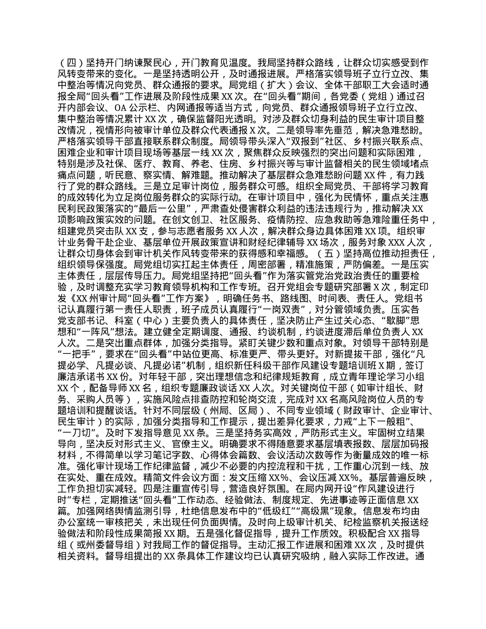 某州审计局深入贯彻中央BXGD精神学习教育“回头看”专题报告.docx_第3页