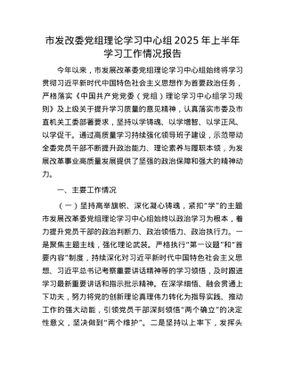 市发改委X组理论学习中心组2025年上半年学习工作情况报告.docx