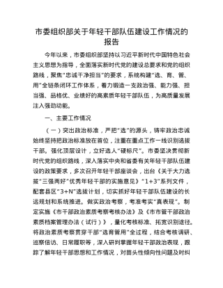 市委组织部关于年轻干部队伍建设工作情况的报告.docx