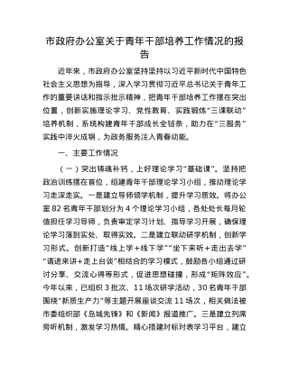 市政府办公室关于青年干部培养工作情况的报告.docx