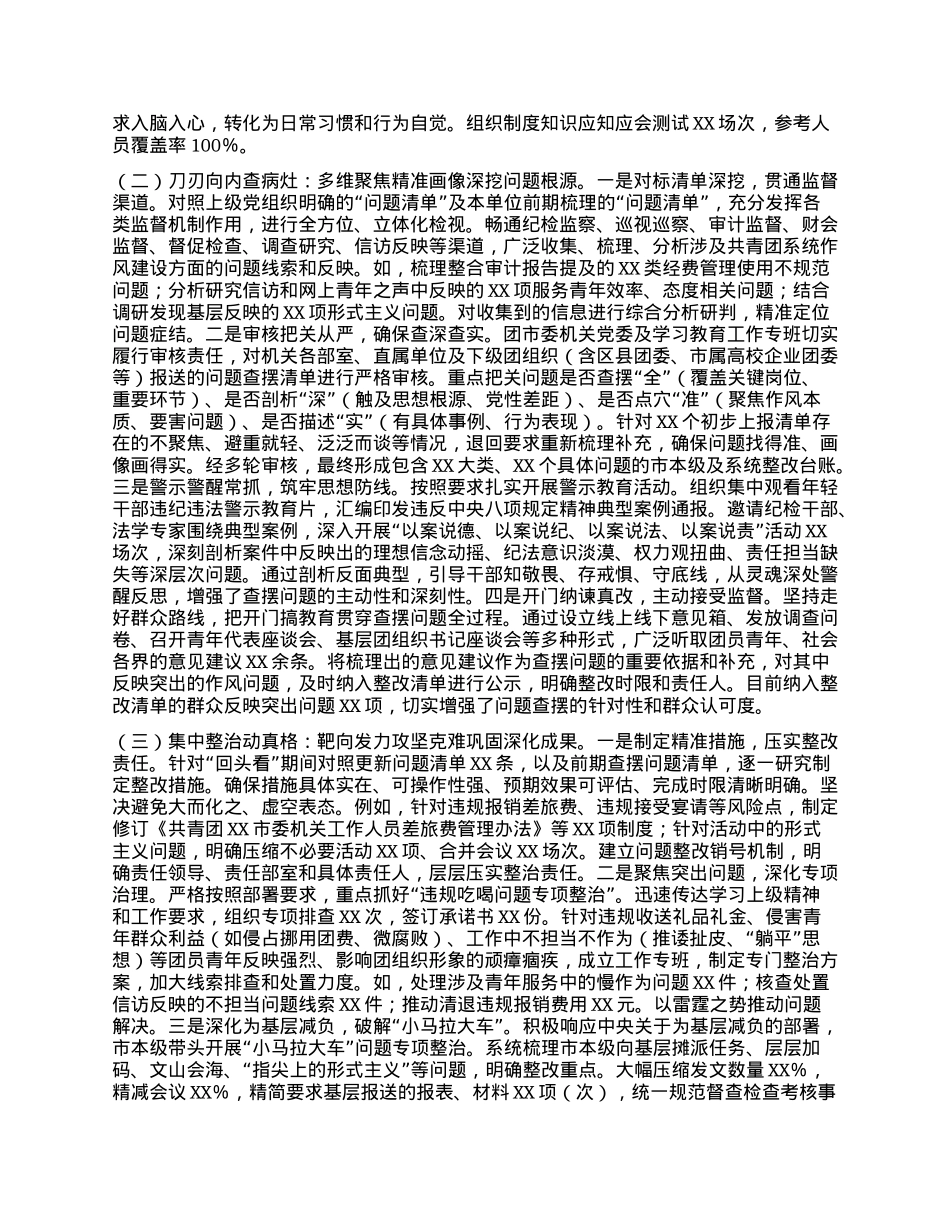 团市委关于学习教育“回头看”工作报告.docx_第2页