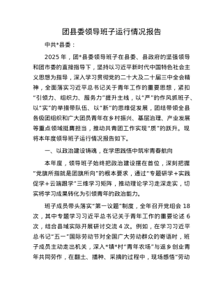 团县委领导班子运行情况报告.docx