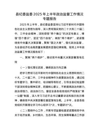 县纪委监委 2025 年上半年ZZ监督工作情况专题报告.docx