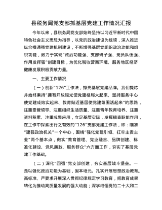 县税务局X支部抓基层X建工作情况汇报.docx