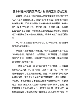 县乡村振兴局抓改革促乡村振兴工作经验汇报.docx