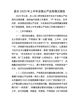 县长2025年上半年全面从严治X情况报告.docx