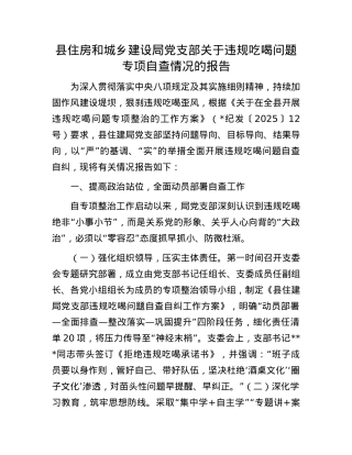 县住房和城乡建设局X支部关于违规吃喝问题专项自查情况的报告.docx