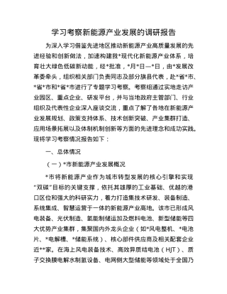 学习考察新能源产业发展的调研报告.docx