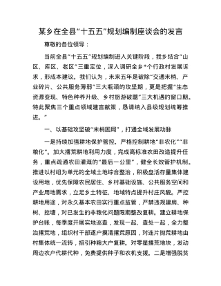 某乡在全县“十五五”规划编制座谈会的发言.docx
