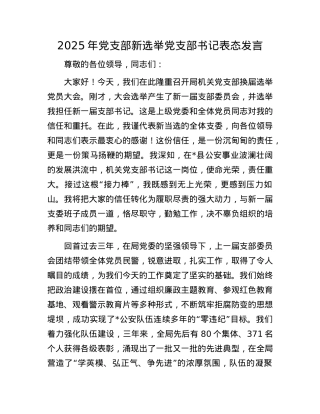 2025年X支部新选举X支部书记表态发言.docx