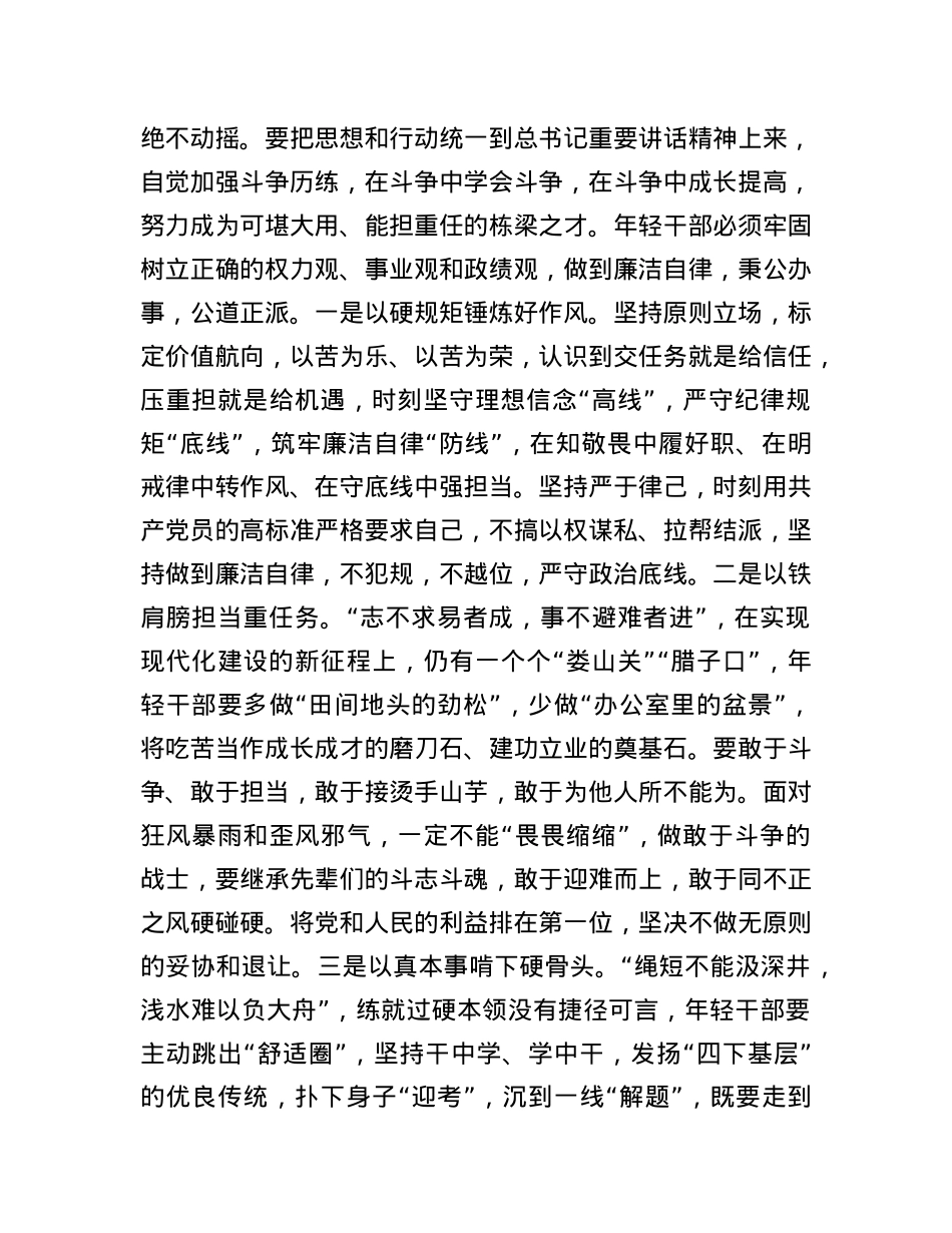 2025年年轻干部作风建设交流发言.docx_第3页