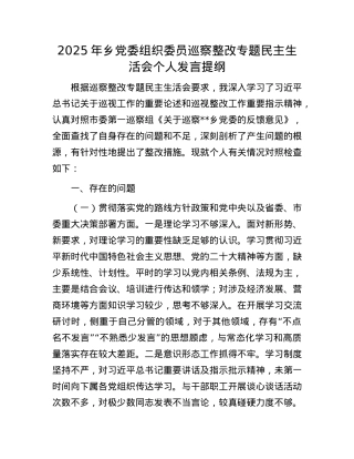 2025年乡X委组织委员巡察整改专题民主生活会个人发言提纲.docx