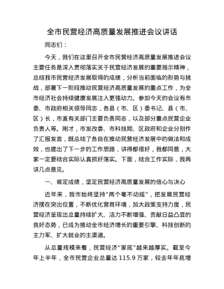 全市民营经济高质量发展推进会议讲话.docx
