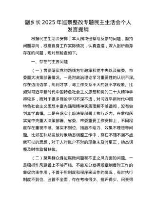 副乡长2025年巡察整改专题民主生活会个人发言提纲.docx