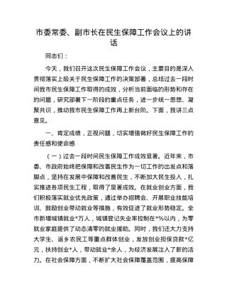 市委常委、副市长在民生保障工作会议上的讲话.docx