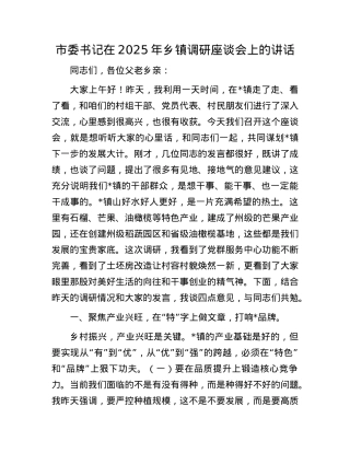 市委书记在2025年乡镇调研座谈会上的讲话.docx