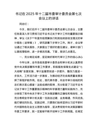 书记在2025年十二届市委审计委员会第七次会议上的讲话.docx
