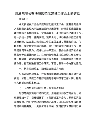 县法院院长在法庭规范化建设工作会上的讲话.docx