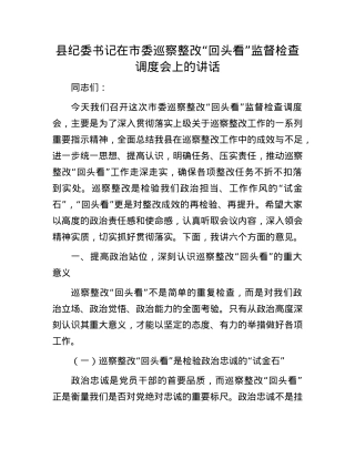 县纪委书记在市委巡察整改“回头看”监督检查调度会上的讲话.docx