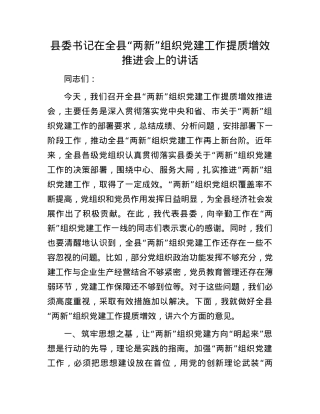 县委书记在全县“两新”组织X建工作提质增效推进会上的讲话.docx
