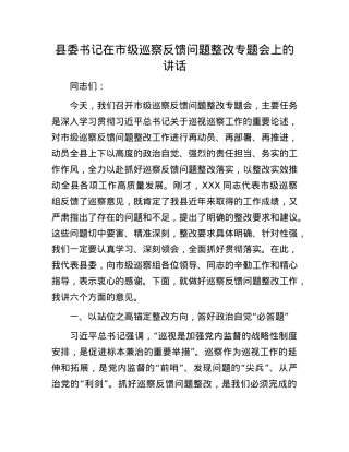 县委书记在市级巡察反馈问题整改专题会上的讲话.docx