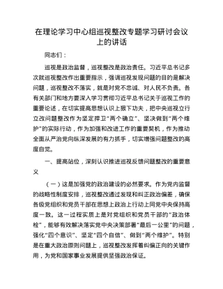 在理论学习中心组巡视整改专题学习研讨会议上的讲话.docx